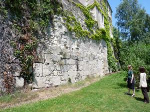 Enceinte de Caesarodunum